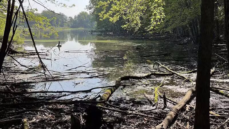 Hawk Meadow Park - Lansing,