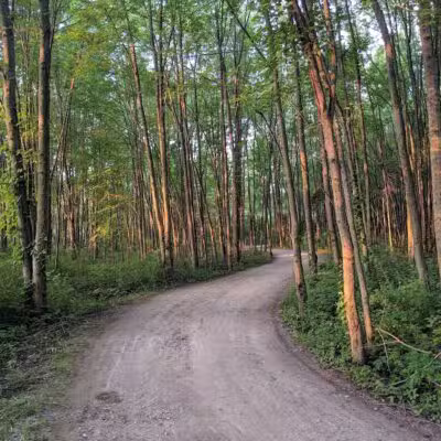 Hawk Meadow Park - Lansing,