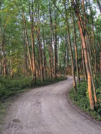Hawk Meadow Park - Lansing,