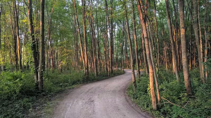 Hawk Meadow Park - Lansing,