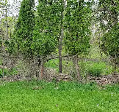 Kimberly Park - Lansing,