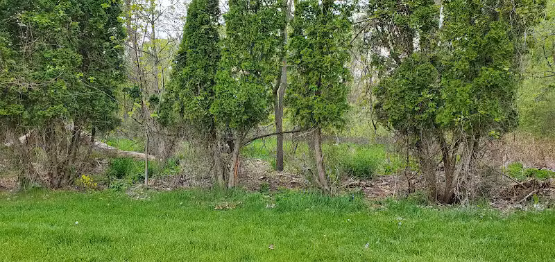 Kimberly Park - Lansing,