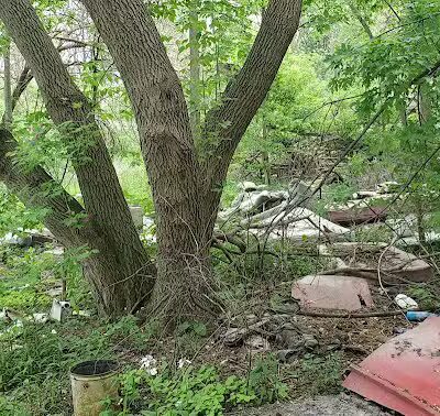 Larch Park - Lansing,