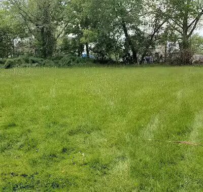 Larch Park - Lansing,