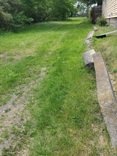 Larch Park - Lansing,