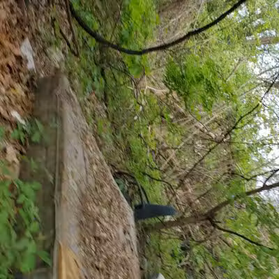 Larch Park - Lansing,