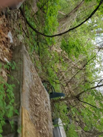 Larch Park - Lansing,