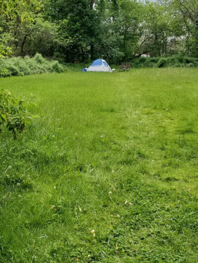 Larch Park - Lansing,