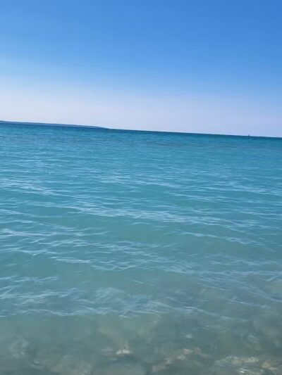 LeLand Park - Lansing,