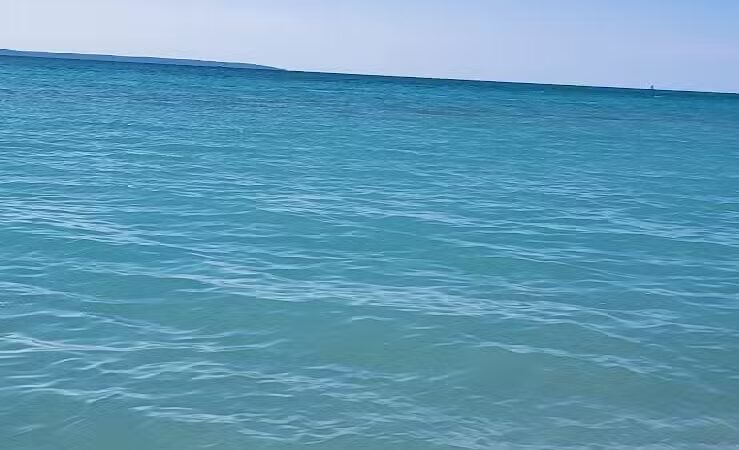 LeLand Park - Lansing,