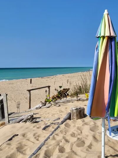 LeLand Park - Lansing,