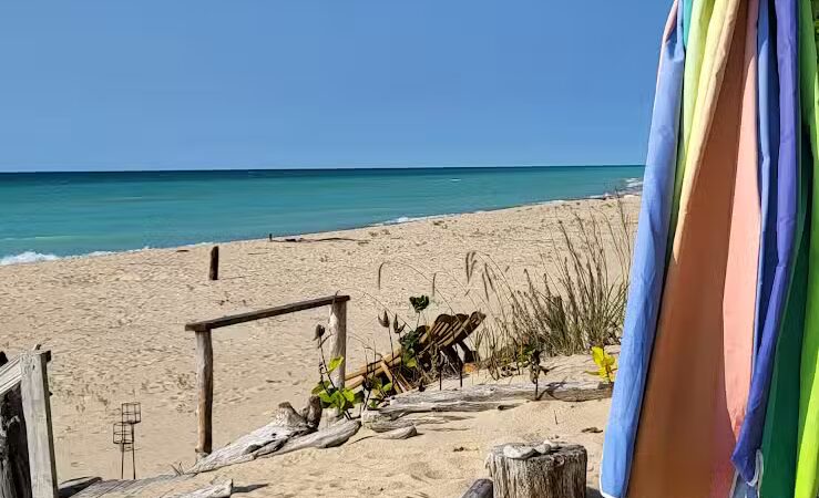 LeLand Park - Lansing,