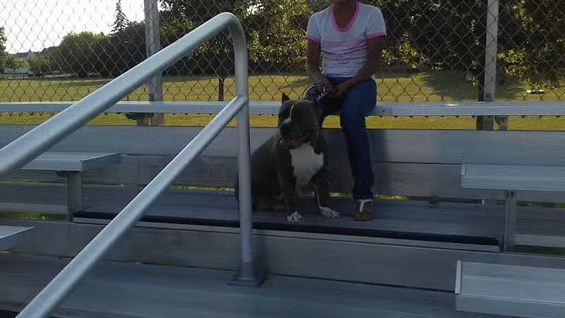 Marshall Park - Lansing,