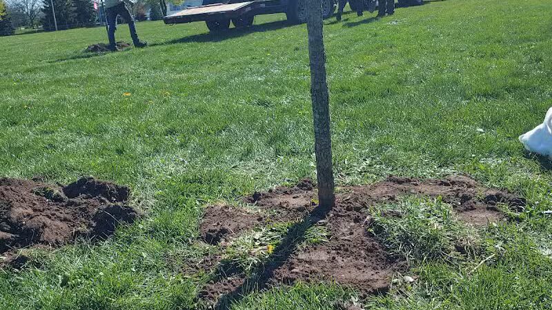 Marshall Park - Lansing,