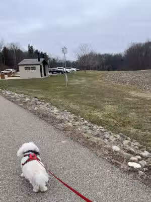 Hawk Meadow Park - Lansing,