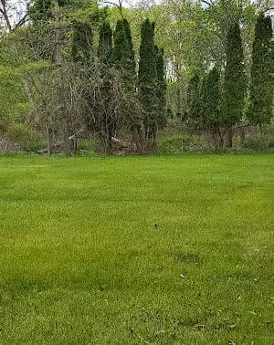 Kimberly Park - Lansing,