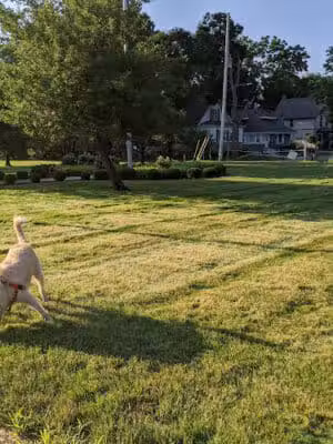 Marshall Park - Lansing,