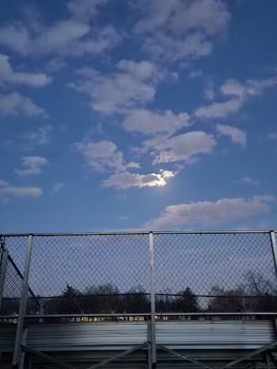 R & D Wilson Park - Lansing,