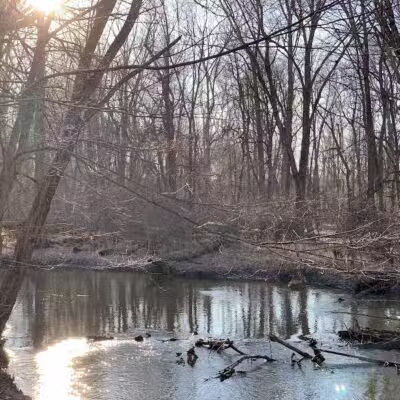 Scott Woods Park - Lansing,