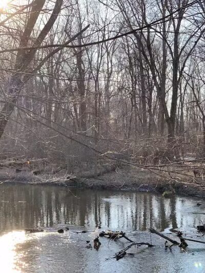 Scott Woods Park - Lansing,