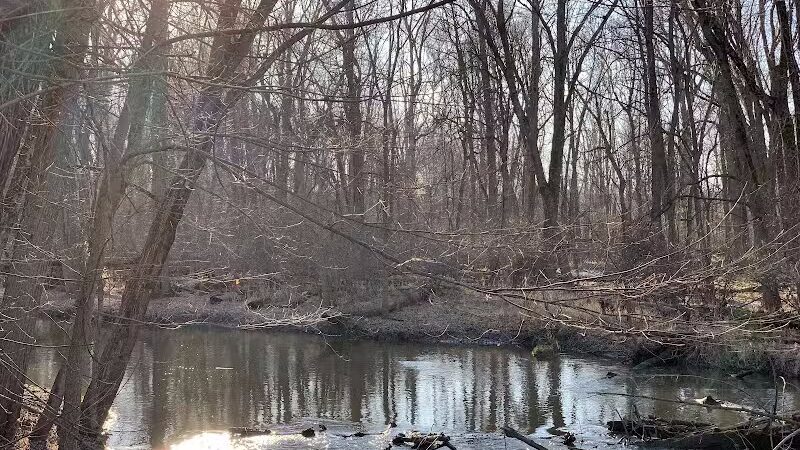 Scott Woods Park - Lansing,