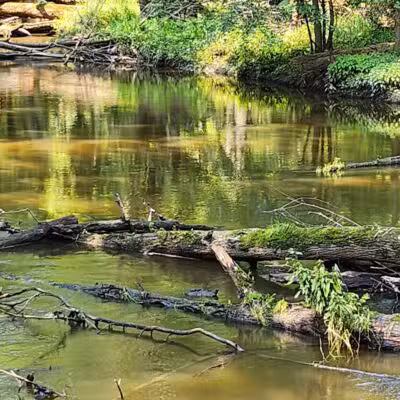 Scott Woods Park - Lansing,