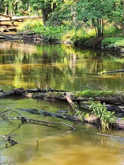 Scott Woods Park - Lansing,