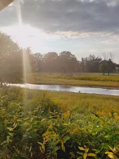 Scott Woods Park - Lansing,