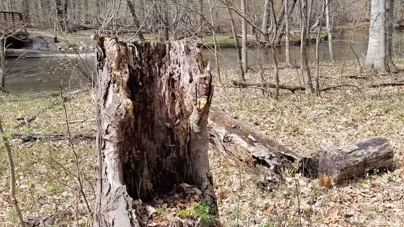 Scott Woods Park - Lansing,