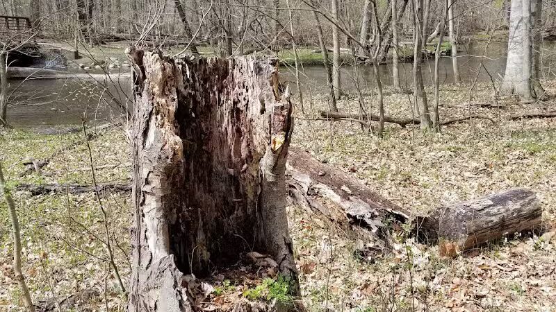 Scott Woods Park - Lansing,