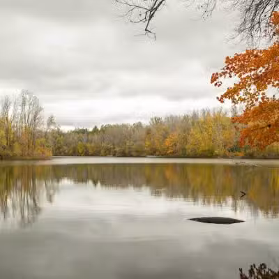Scott Woods Park - Lansing,