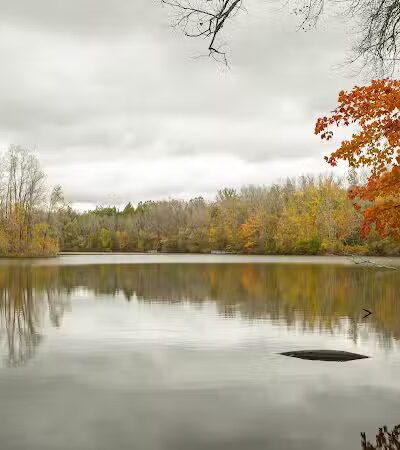 Scott Woods Park - Lansing,