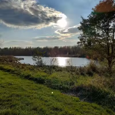Soldan Dog Park - Lansing, MI