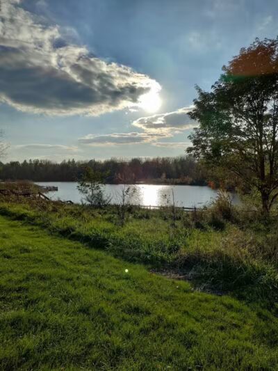 Soldan Dog Park - Lansing, MI
