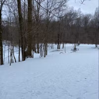 Soldan Dog Park - Lansing, MI