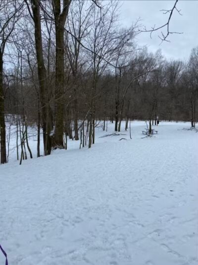 Soldan Dog Park - Lansing, MI
