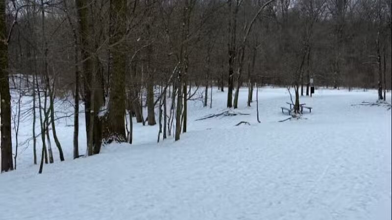 Soldan Dog Park - Lansing, MI