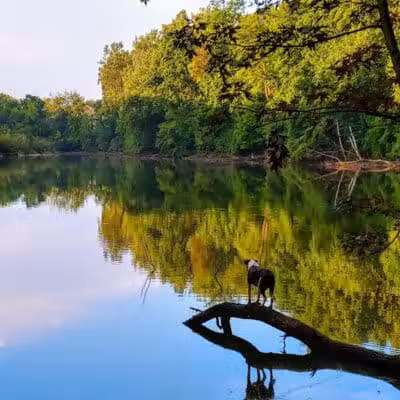 Soldan Dog Park - Lansing, MI