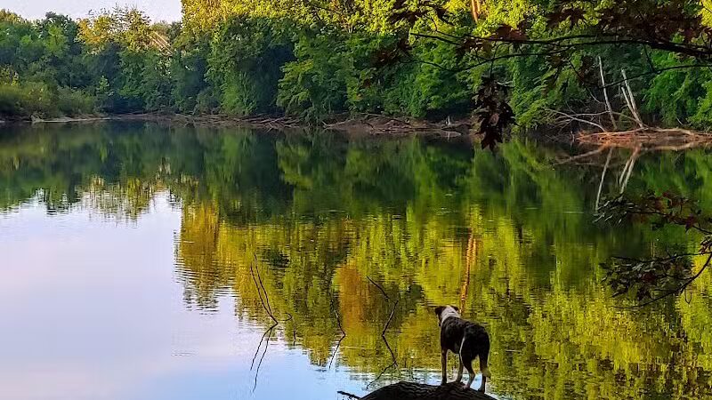 Soldan Dog Park - Lansing, MI