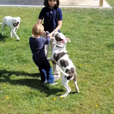 Rotary Park/Lapeer Dog Park - Lapeer, MI