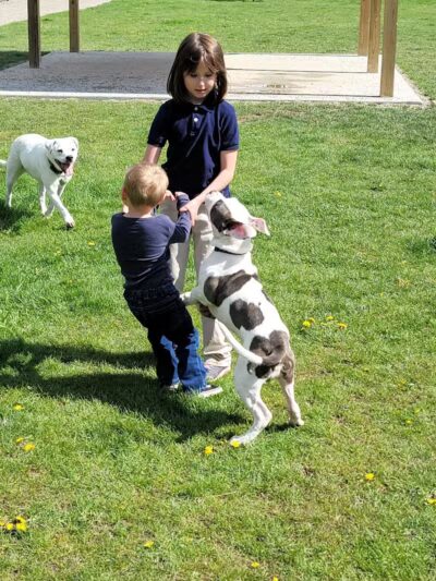 Rotary Park/Lapeer Dog Park - Lapeer, MI
