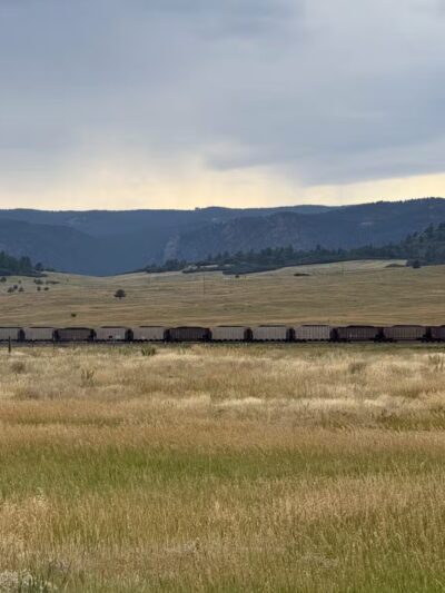 Devon’s Dog Park - Larkspur, CO