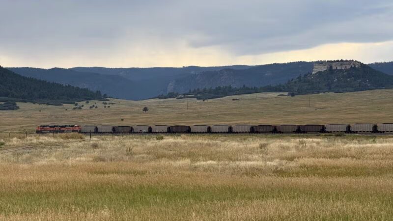 Devon’s Dog Park - Larkspur, CO