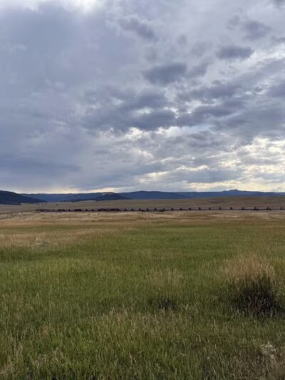 Devon’s Dog Park - Larkspur, CO