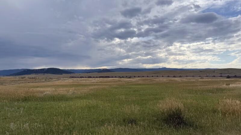 Devon’s Dog Park - Larkspur, CO