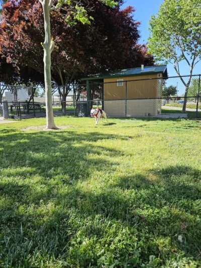 Lathrop Dog Park - Lathrop, CA