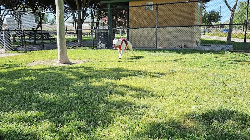 Lathrop Dog Park - Lathrop, CA