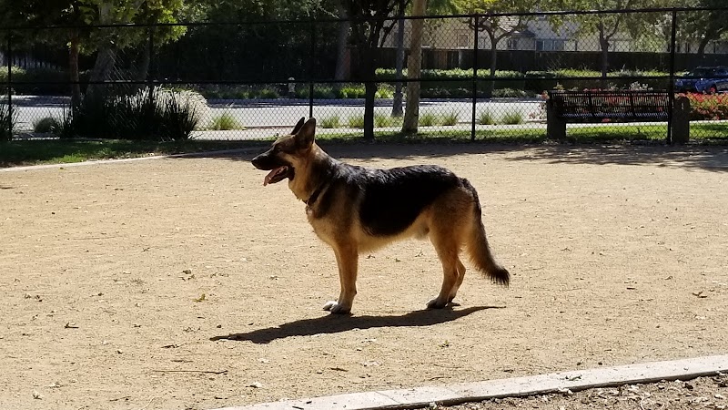 Lathrop Dog Park - Lathrop, CA