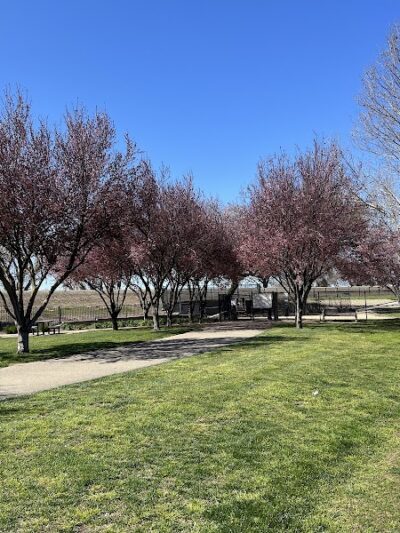 Lathrop Dog Park - Lathrop, CA