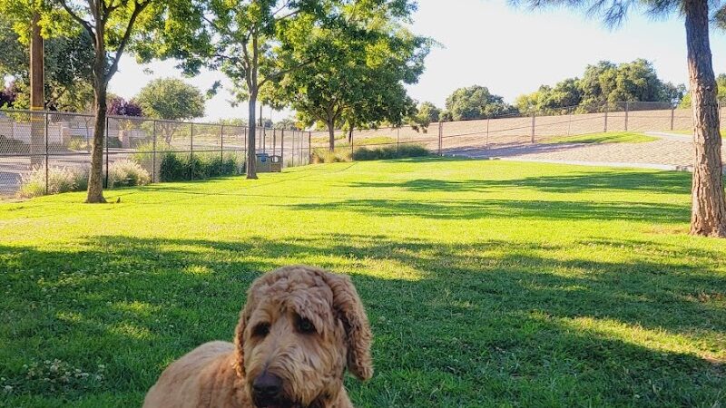Lathrop Dog Park - Lathrop, CA